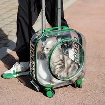 Cat-packed rod box large-capacity bubble box cat outdoor transparent pet dog suitcase breathable space capsule