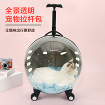 Cat outsourced portable rod box handbag capsule cat backpack dog suitcase transparent pet supplies