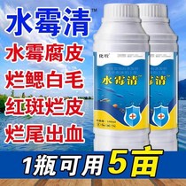 Water Moldy Disease Specialty Fish Potion Molars Net Compound Thifloxacin Aquatic Breeding White Faults Rot of Rotten Gills Tail