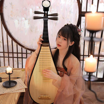 Biwa Instrument Beginning Children Bomb Drop Self-School Examination Biwaqin Playing National Adult Musical Hardwood
