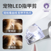Ferrets Kitty Fingernail Scissors LED Pets Nail Clippers Special New Hands Photos Blood Line Dogs Trim Dedicated God