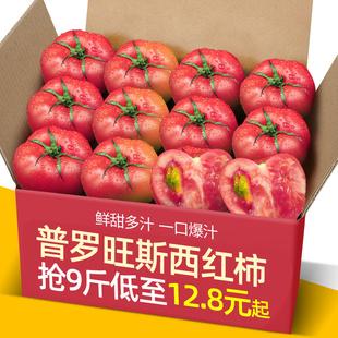 正宗山东普罗旺斯沙瓤西红柿5-9斤装自然熟非铁皮柿子水果大番茄