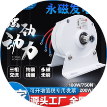 Münl manufacturer direct sales three-phase AC rare earth neodymium iron boron permanent magnet generator 100W200W12v24v48v