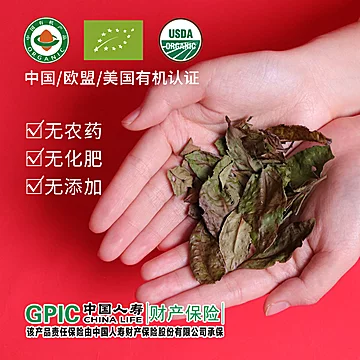 中初福鼎寿眉有机白茶新茶叶小包装[30元优惠券]-寻折猪