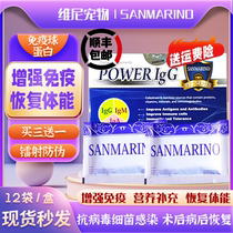 San Marino IGg immune globulin prevents cat and dog parvovirus nasal branch to improve immunity and restore physical fitness