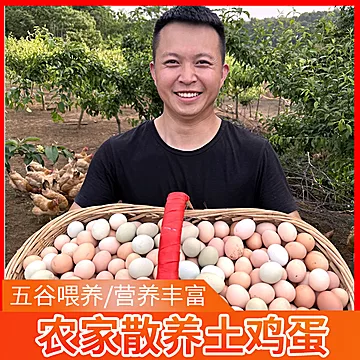 【签到】农家土鸡蛋散养新鲜笨鸡蛋10枚[1元优惠券]-寻折猪