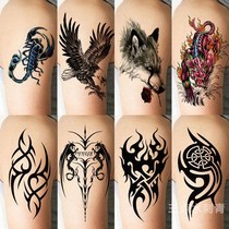 Net red tattoo patch semi-permanent half-arm totem tattooed with waterproof persistent male scorpion wolf head arm tattooed simulation