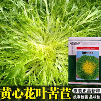 Special vegetables: chrysanthemum yellow heart chicory 10g dog sprouts less pests and diseases delicious and easy to eat
