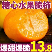 Chocolate crisp persimmon fresh fruit 10 catties in season sweet hard persimmon Shanxi red persimmon fire crystal whole box