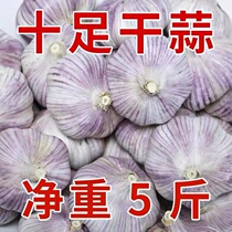 New dried garlic 5 catties garlic head seeds dry garlic seeds Shandong Jinxiang farmhouse 10 catties purple skin red skin space garlic