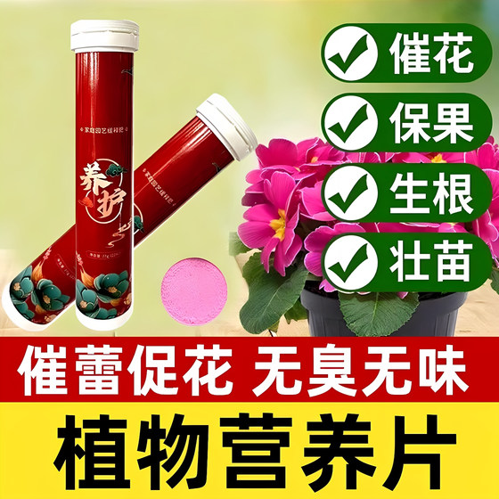 Home gardening sustained-release fertilizer plant nutrition sustained-release tablets universal nitrogen, phosphorus and potassium sustained-release tablets indoor flower pot Home gardening sustained-release fertilizer plant nutrition sustained-release tablets universal nitrogen, phosphorus and potassium sustained-release tablets indoor flower pot