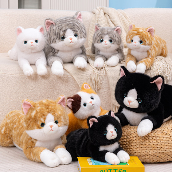 Creative pose daided cat doll plush toy cute cat doll yellow cat gray cat black cat girl birthday gift
Creative pose daided cat doll plush toy cute cat doll yellow cat gray cat black cat girl birthday gift