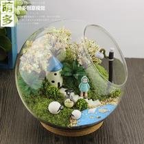 Pure moss micro landscape ecological bottle creative diy combination potted novelty simulated plant gift office