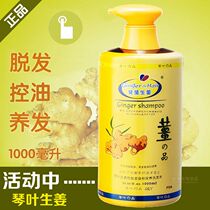 Violin leaf ginger shampoo woman anti-hair loss ginger juice anti-drop control oil raw shampoo male to oil ginger Wang washing hair cream