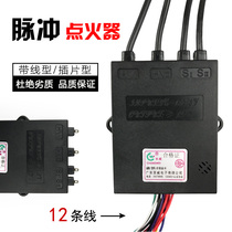 Double stove with high voltage line gas gas stove stove pulse electronic igniter 3V universal controller accessories