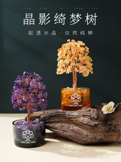재산을위한 재산을위한 재산을위한 재산을위한 재산 자연 시트린 아메리카 사무실 입구 책상 나무 차 자동차 장신구를위한 보물 수집 재산을위한 재산을위한 재산을위한 재산을위한 재산 자연 시트린 아메리카 사무실 입구 책상 나무 차 자동차 장신구를위한 보물 수집