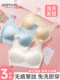 비밀스러운 일회용 속옷 브래지 비밀스러운 일회용 속옷 브래지