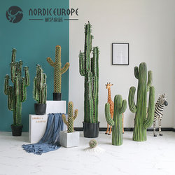 Nordic tropical large simulation cactus potted ornaments home decoration floor-standing green plants bonsai cactus plants