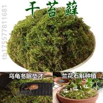 Decorative simulated paving moss bonsai pastoral grass green plants moss hay decorative fake grass pot protection potted plants