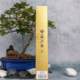 Tojiro Fujiro VG10 Western Food Steak 나이프 나이프 나이프 고급 스테이크 커터 특수 나이프 F797 Tojiro Fujiro VG10 Western Food Steak 나이프 나이프 나이프 고급 스테이크 커터 특수 나이프 F797