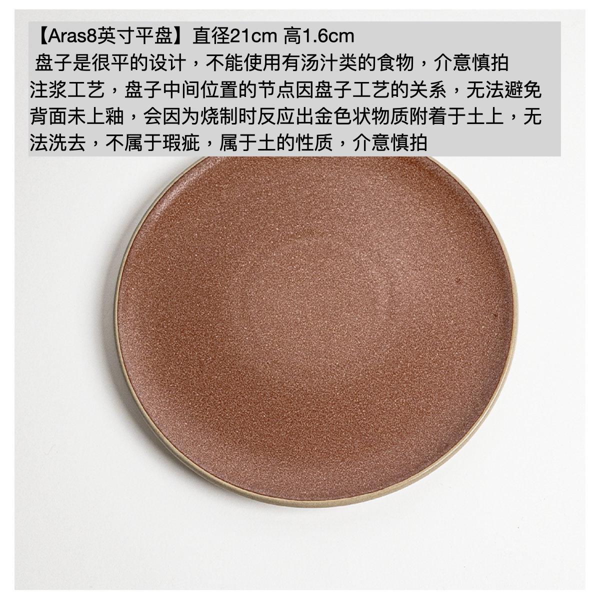 MUWAI Lysander Elegant Frosted Dinner Plate