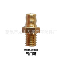Manufacturer expansion water tank inflatable valve pressure tank barrel valve core shock absorber wall-mounted furnace hexagonal nozzle copper valve