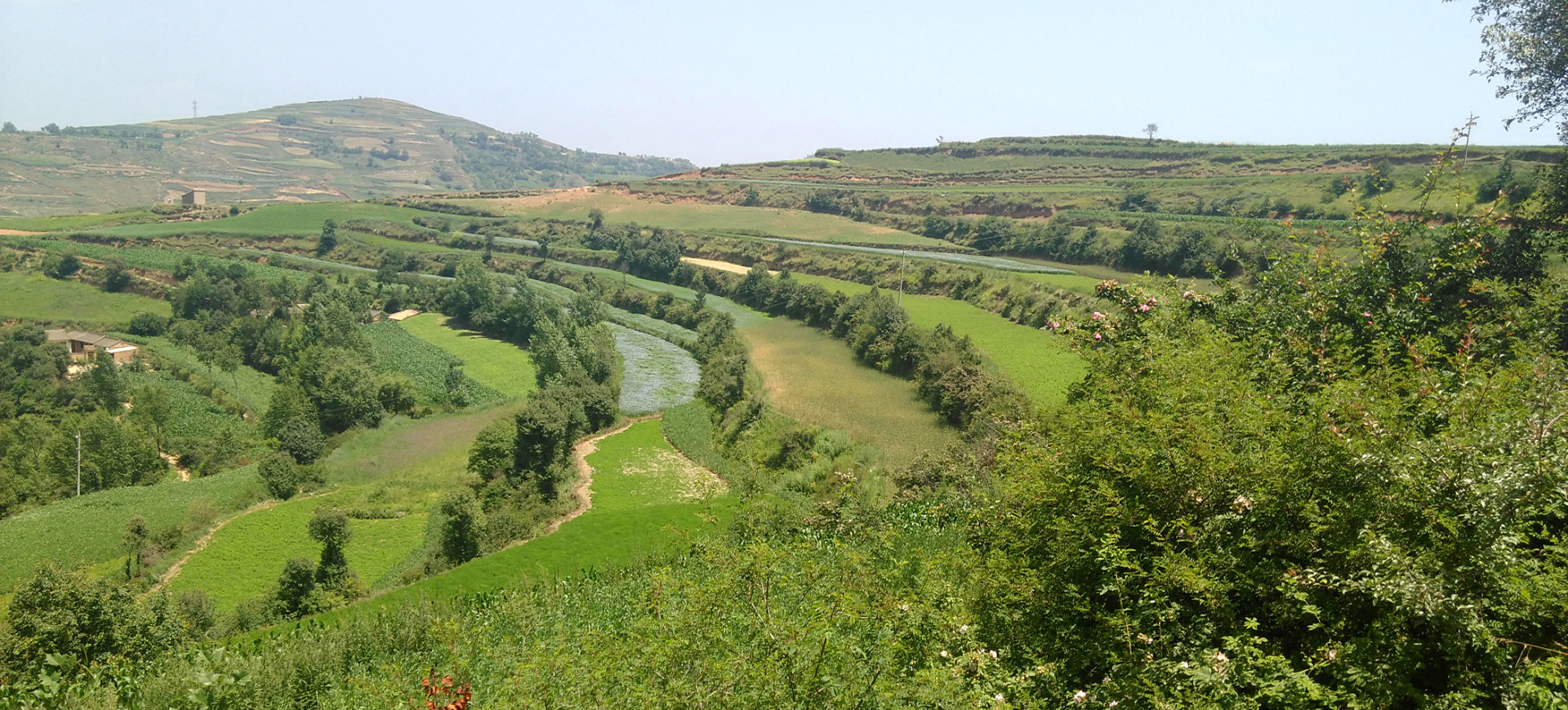 黄芪甘肃陇西无硫黄芪片500g非野生北芪黄氏黄岐片2斤包邮可打粉