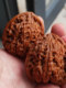 Mountain Jade Southern Xinjiang Stone Walnut Art Play Zhuolu Full Products Nonrepair Zhao Ximan High-End Collection Hand Plate Play Handpieces Men Mountain Jade Southern Xinjiang Stone Walnut Art Play Zhuolu Full Products Nonrepair Zhao Ximan High-End Collection Hand Plate Play Handpieces Men