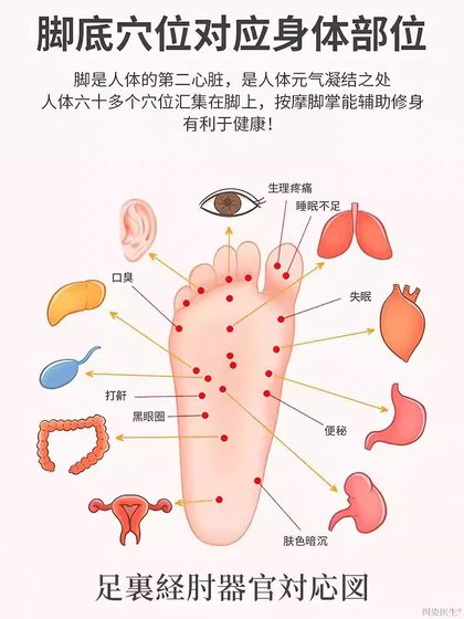 발 마사차 발 마사지 기기 롤러 발 마사지 문지름 발 마사지 도구 가정용 침대 발 발 마사차 발 마사지 기기 롤러 발 마사지 문지름 발 마사지 도구 가정용 침대 발