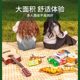 피크닉 매트 수분 방지 매트 두꺼운 야외 피크닉 캠핑 비치 텐트 바닥 매트 봄 외출 쿠션 방수 잔디밭 매트 피크닉 매트 수분 방지 매트 두꺼운 야외 피크닉 캠핑 비치 텐트 바닥 매트 봄 외출 쿠션 방수 잔디밭 매트