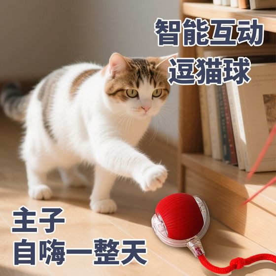 Cat upgraded model automatic wake-up electric ball self-help to relieve boredom and tease cat and dog consumption of energy rechargeable toy ball
Cat upgraded model automatic wake-up electric ball self-help to relieve boredom and tease cat and dog consumption of energy rechargeable toy ball