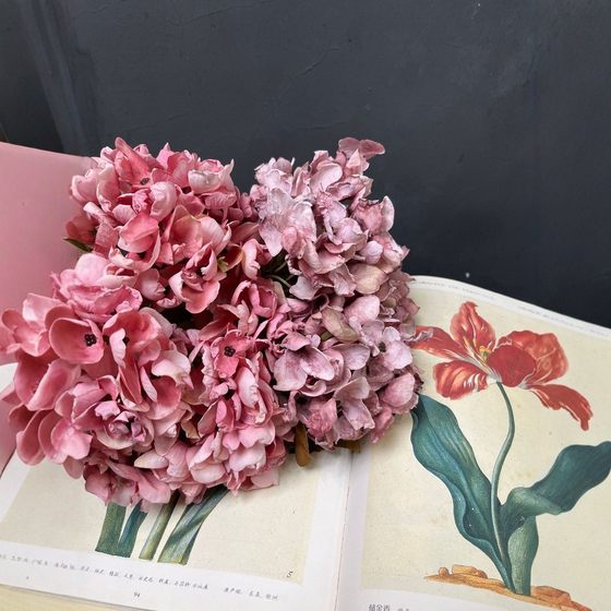 Simulated hydrangea bouquet oil painting light luxury home dining table coffee table floral soft decoration ornaments shooting wedding high-quality fake flowers
Simulated hydrangea bouquet oil painting light luxury home dining table coffee table floral soft decoration ornaments shooting wedding high-quality fake flowers