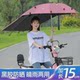 전기 자동차 우산 빠른 분해 접근 가능한 텐트 텐트 태양 보호 캐노피 썰매 오토바이 선광 우산 폴리 에스테르 섬유 전기 자동차 우산 빠른 분해 접근 가능한 텐트 텐트 태양 보호 캐노피 썰매 오토바이 선광 우산 폴리 에스테르 섬유
