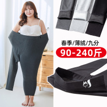 Underpants female wearing new big yards spring autumn thin velvet 200 pounds fat mm high waist nine pants fattened and increased pants