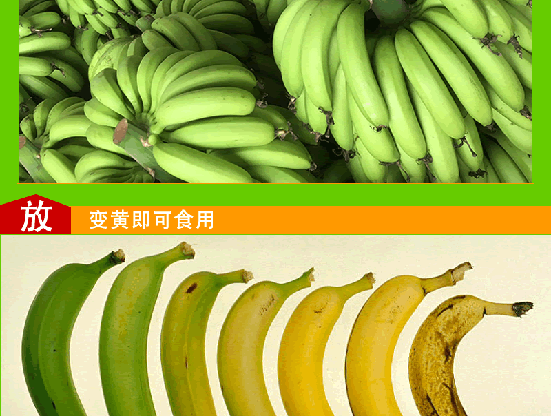 绿色香蕉青现摘新鲜水果孕妇自然成熟无添加非海南芭蕉软糯甜8斤