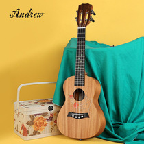 Andrew Andrew 23-inch beginner male and female ukulele students adult children male ukulele musical instrument