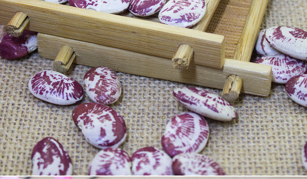 东北大肾豆荷包豆农家自产大斑马豆花饭豆 腰豆 五谷杂粮散装250g_双