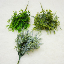 5 branches Ginseng Fairy Grass 1219 5 Grass Simulation Flowers Fake Flowers Home Photography Landscape Green Planting Wall Handmade Diy Material