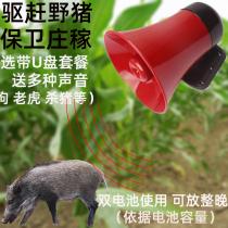 Night recording charging horn high power corn fields to scare wild boar deities to drive biracock orchard timing