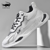 Crocodile mens shoes summer breathable Daddy shoes Mens fashion shoes Leather mesh sneakers Casual white shoes Lightweight mesh shoes