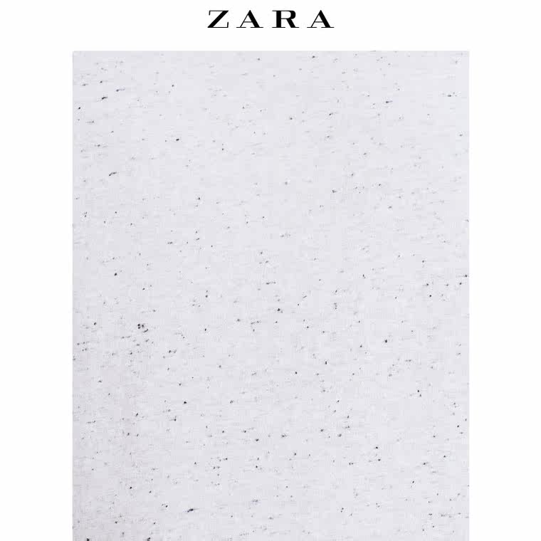 ZARA 男装 双面 T 恤 00495300250