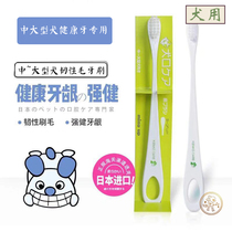 Japan imported Mind up medium and large pet dog toothbrush cleaning and removing tartar Samoyed golden hair