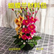 Big-eyed frog handmade Phalaenopsis flower potted wool crochet diy hand-made gift homemade material bag