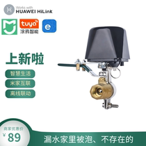 Smart Valve Wireless Remote Control Electric Valve Switch wifiapp Remote Water Valve Ball Valve 220 Controller Mijia