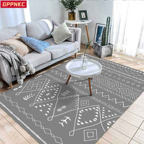 Nordic Modern Minimalist Carpet Living Room Washable Sofa Tea Table Blanket Large Area Cloakroom Bedroom Bedside Blanket