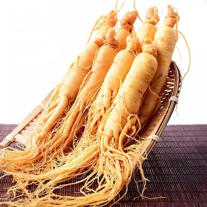 东北人参保鲜参长白山野山参新鲜泡酒人参片泡水煲汤人参真空袋装