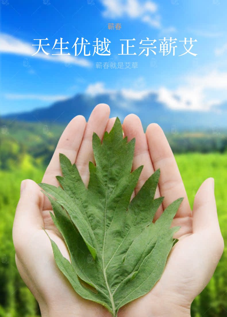 御道蕲春艾灸柱纯艾草批发艾条陈年艾 李时珍家用54柱