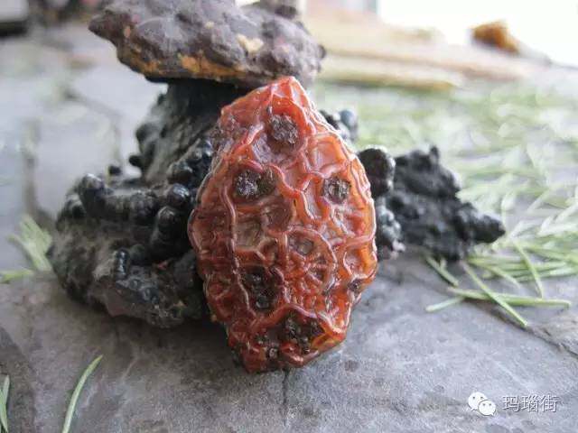 它是"黑山老妖"!但我心甘情愿将"心"献上!