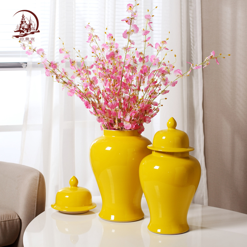 Modern Chinese style household general pot vase in the sitting room porch decoration flower arranging ceramic pot large TV ark, furnishing articles