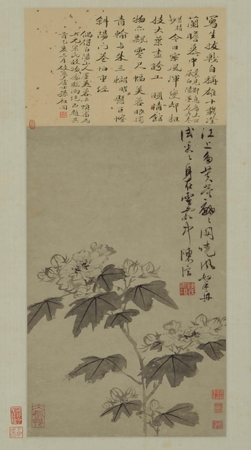 陈淳《白芙蓉》轴 明 纸本水墨 纵50.7厘米,横27.3厘米